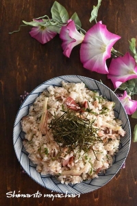 イワシの塩焼き缶で♪爽やか夏の混ぜ寿司～久しぶりのラジオ収録～