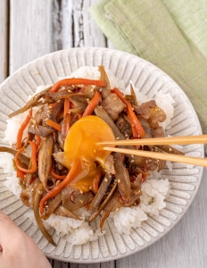 茶色いは正義！ご飯にのせて食べたい「豚肉入りきんぴらごぼう」