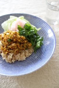 お肉の代わりとしても大活躍！「高野豆腐」をキーマカレーに使おう♪