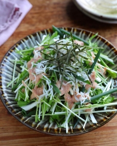 切って和えるだけであと一品！「水菜としらす」のスピード副菜