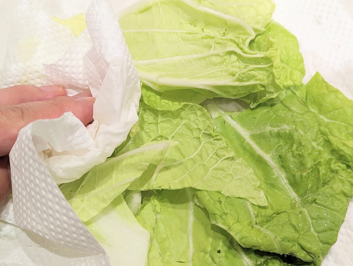 白菜は水気をよく拭き取って冷凍保存