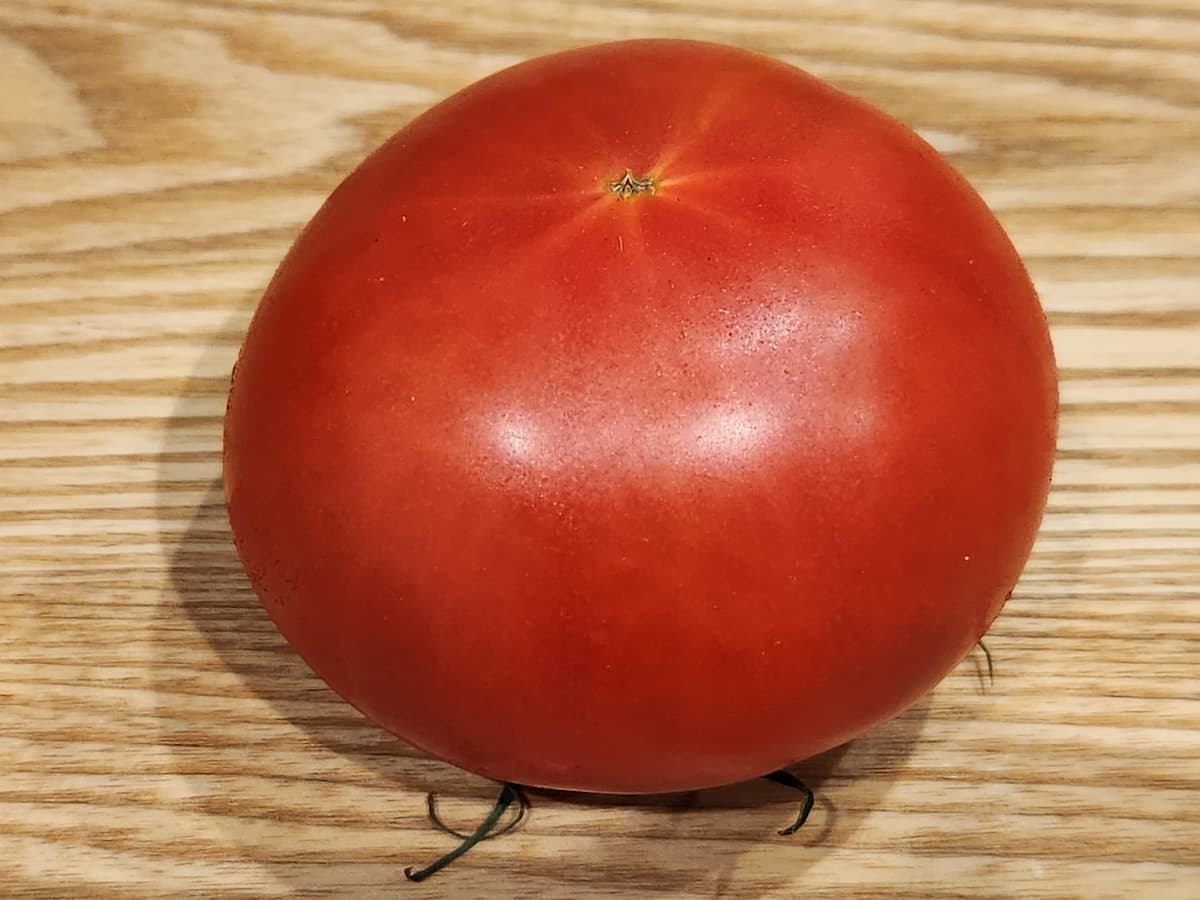 おいしいトマトは底に注目　青髪のテツ