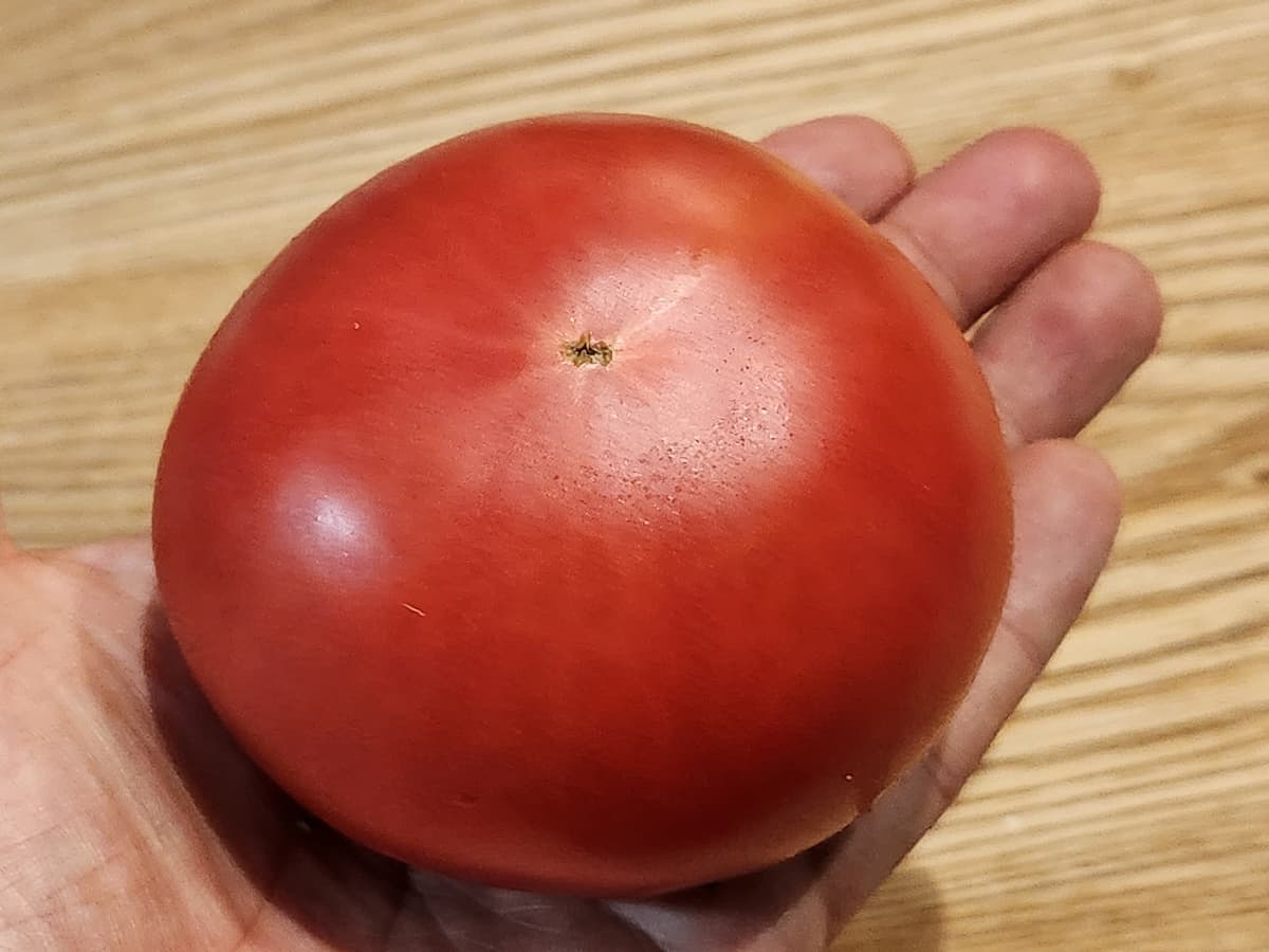 トマトは重さで選ぶ　青髪のテツ