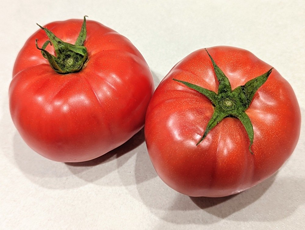 野菜のプロ直伝！「トマト」の基本・豆知識・おすすめの食べ方