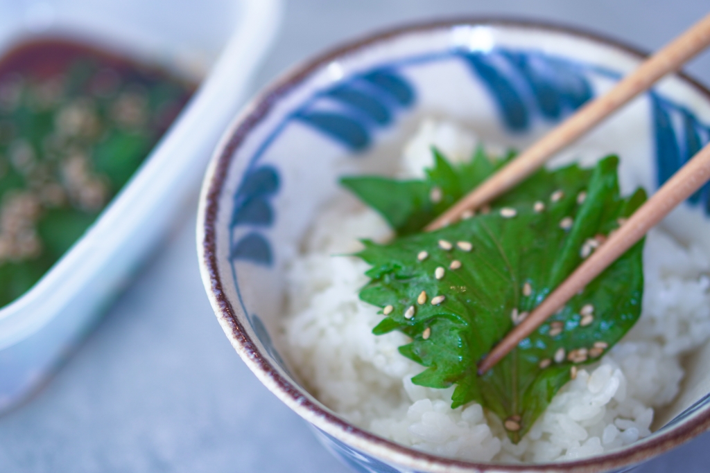 おいしくて保存性もUP！大量消費もできる「大葉漬け」の作り方