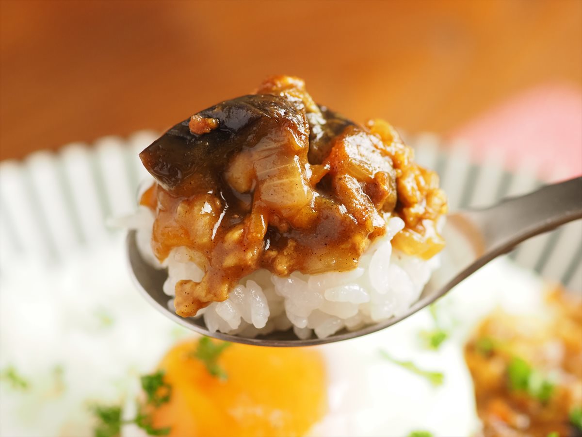 鶏むねひき肉と茄子のキーマカレー