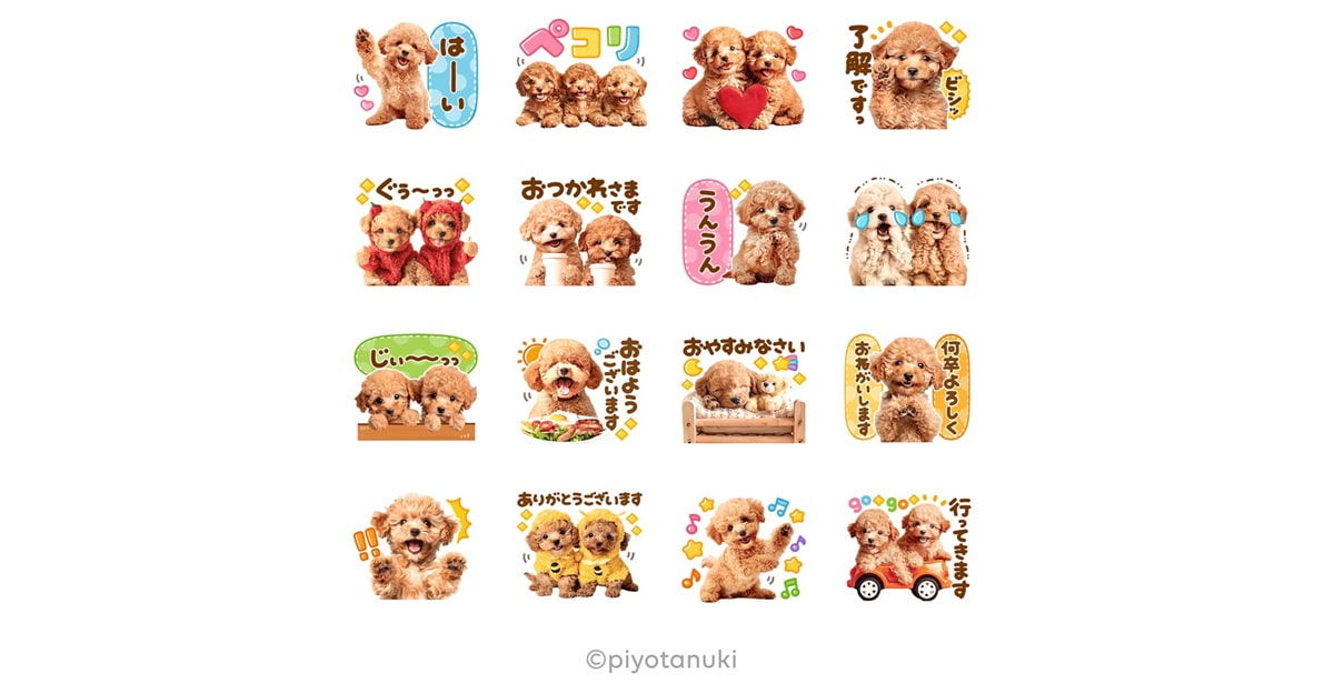 10/11まで！「トイプー×選べるニュース」のLINEスタンプをプレゼント♪