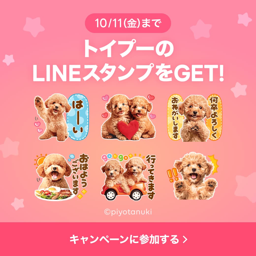 LINEスタンプキャンペーン トイプー