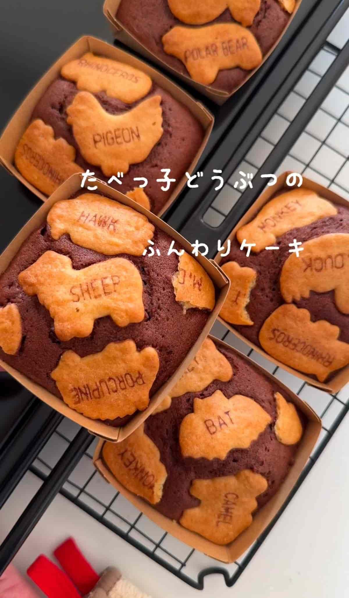 たべっ子どうぶつのふんわりケーキ