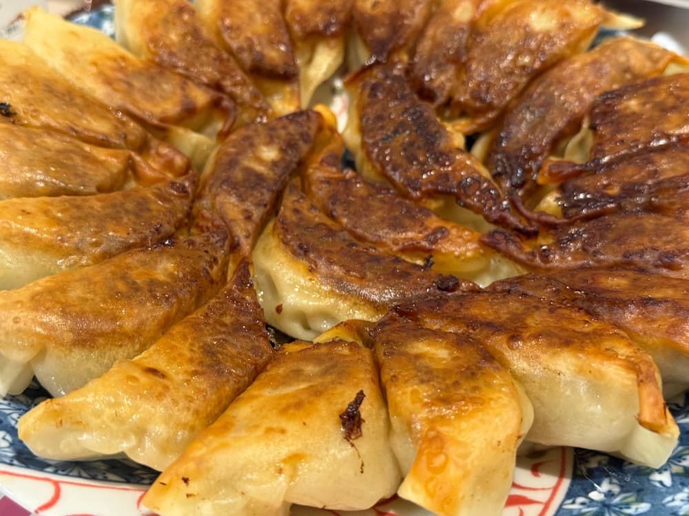 キャベツ餃子