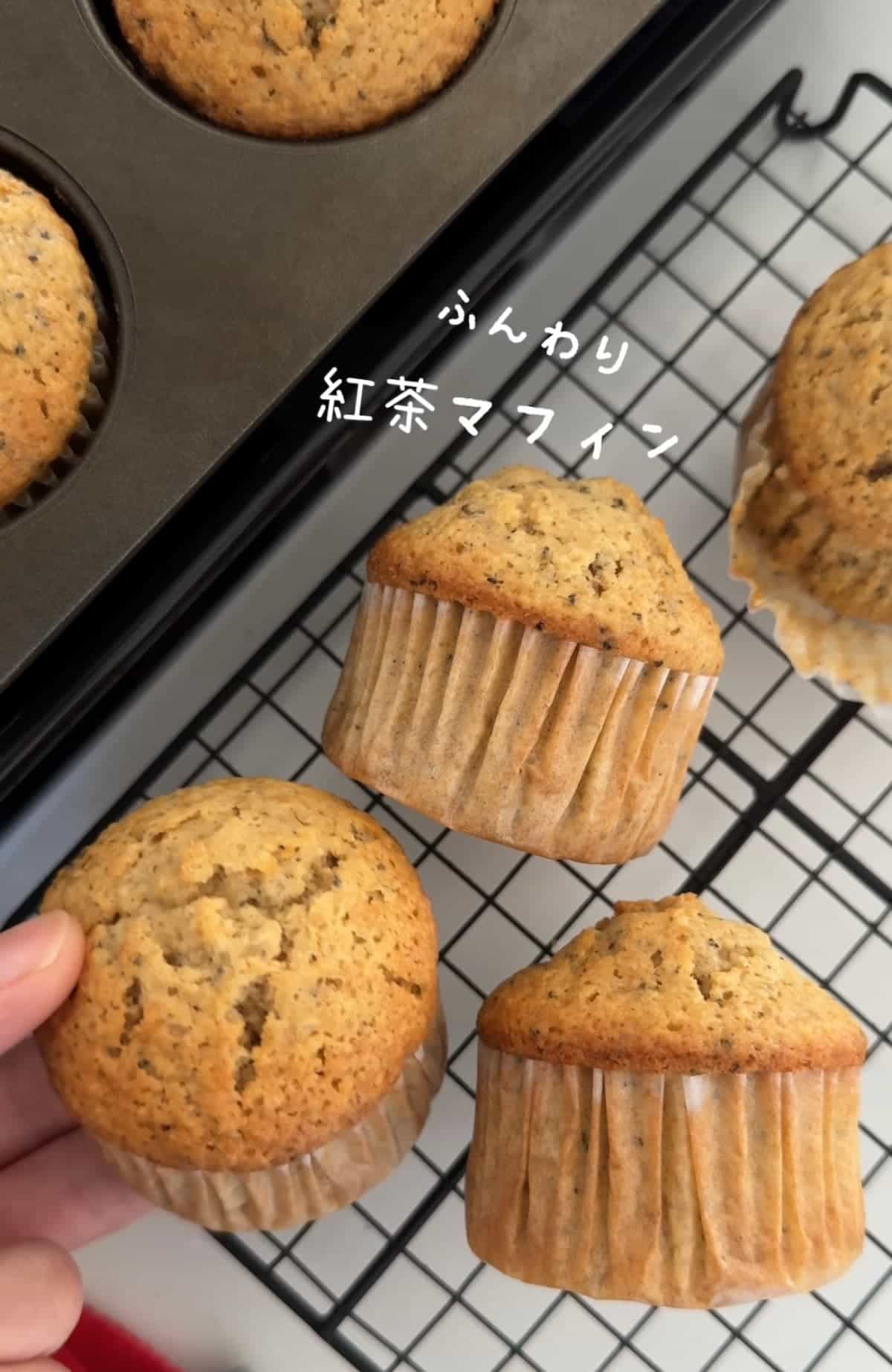 紅茶マフィン
