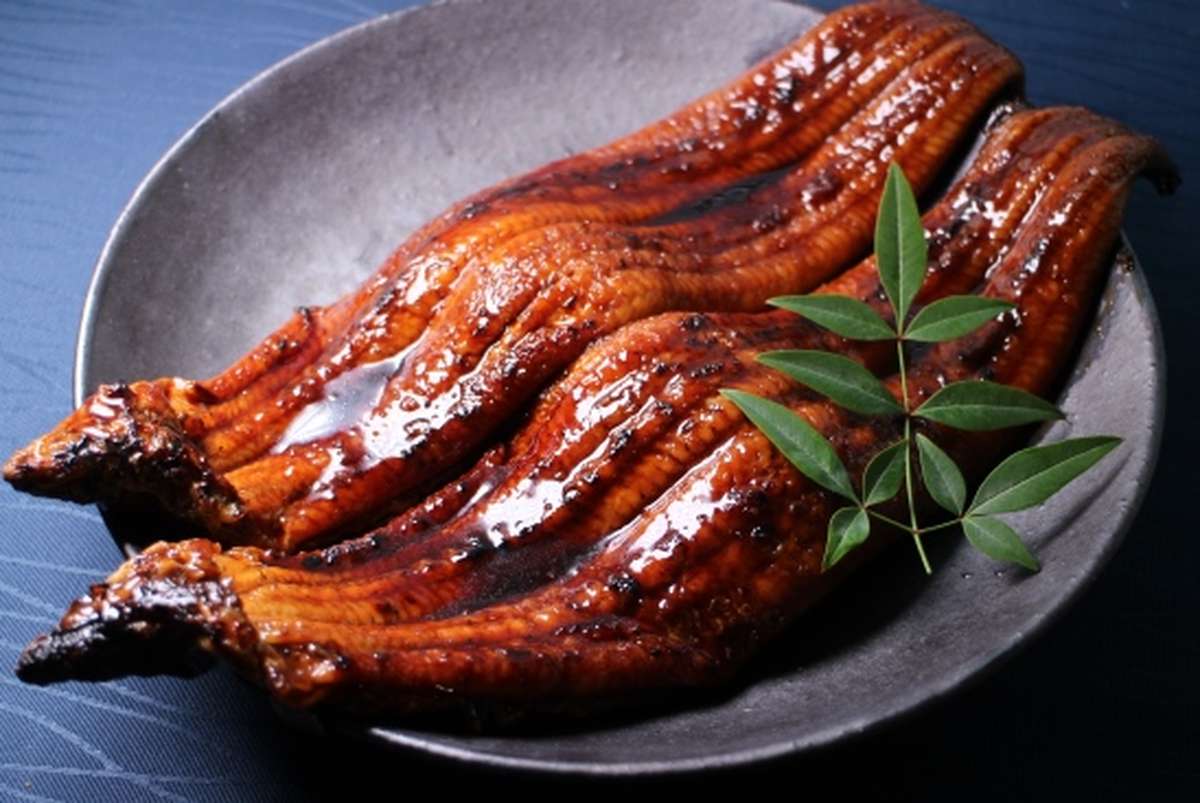 特大うなぎ蒲焼（185g～215g）×2本／ざこばの朝市
