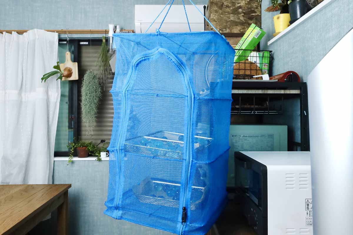 「まるでビー玉のような琥珀糖」