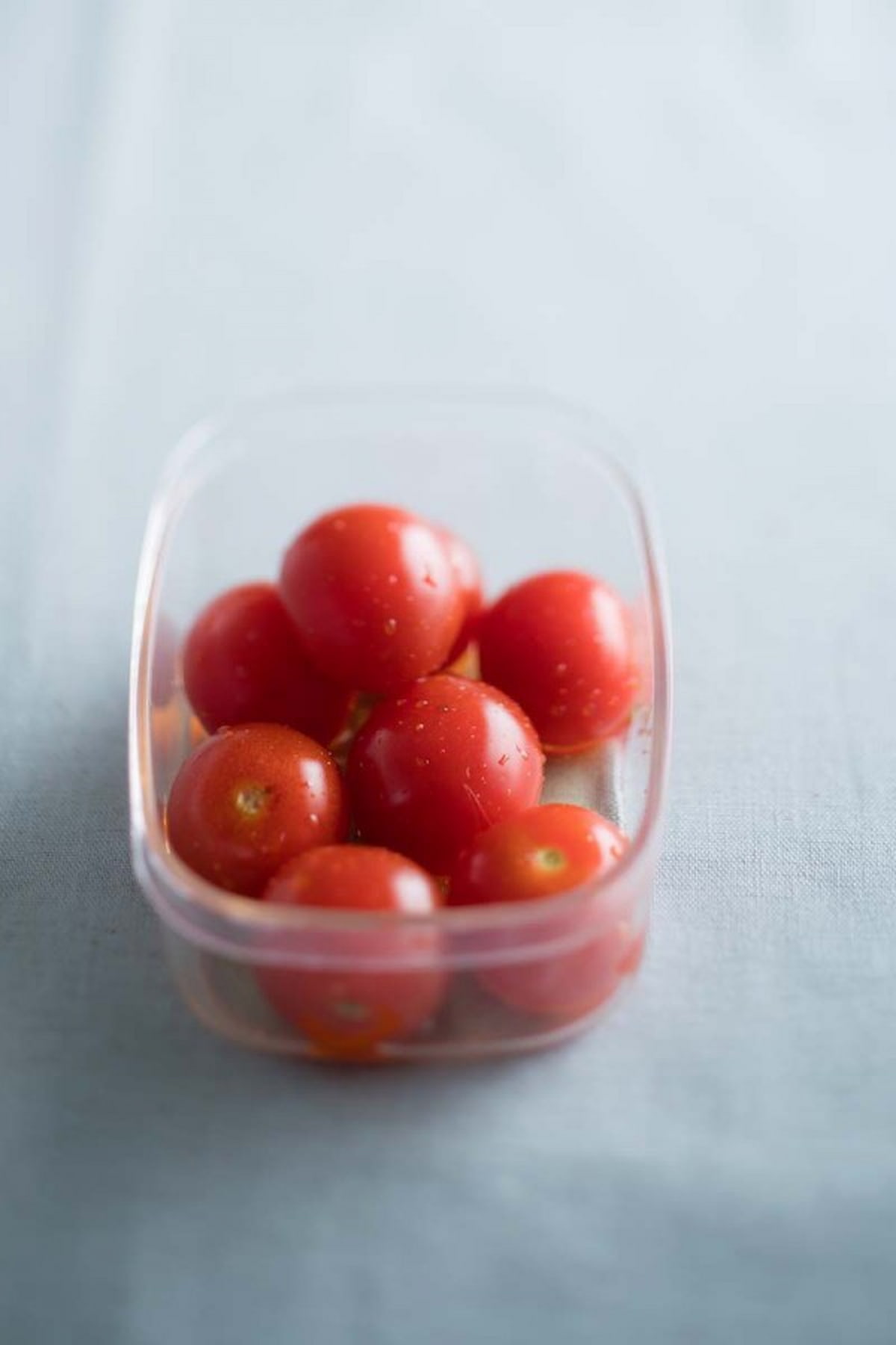 「卵焼き」が実は危ない！？知っておきたい、夏のお弁当で注意したいこと