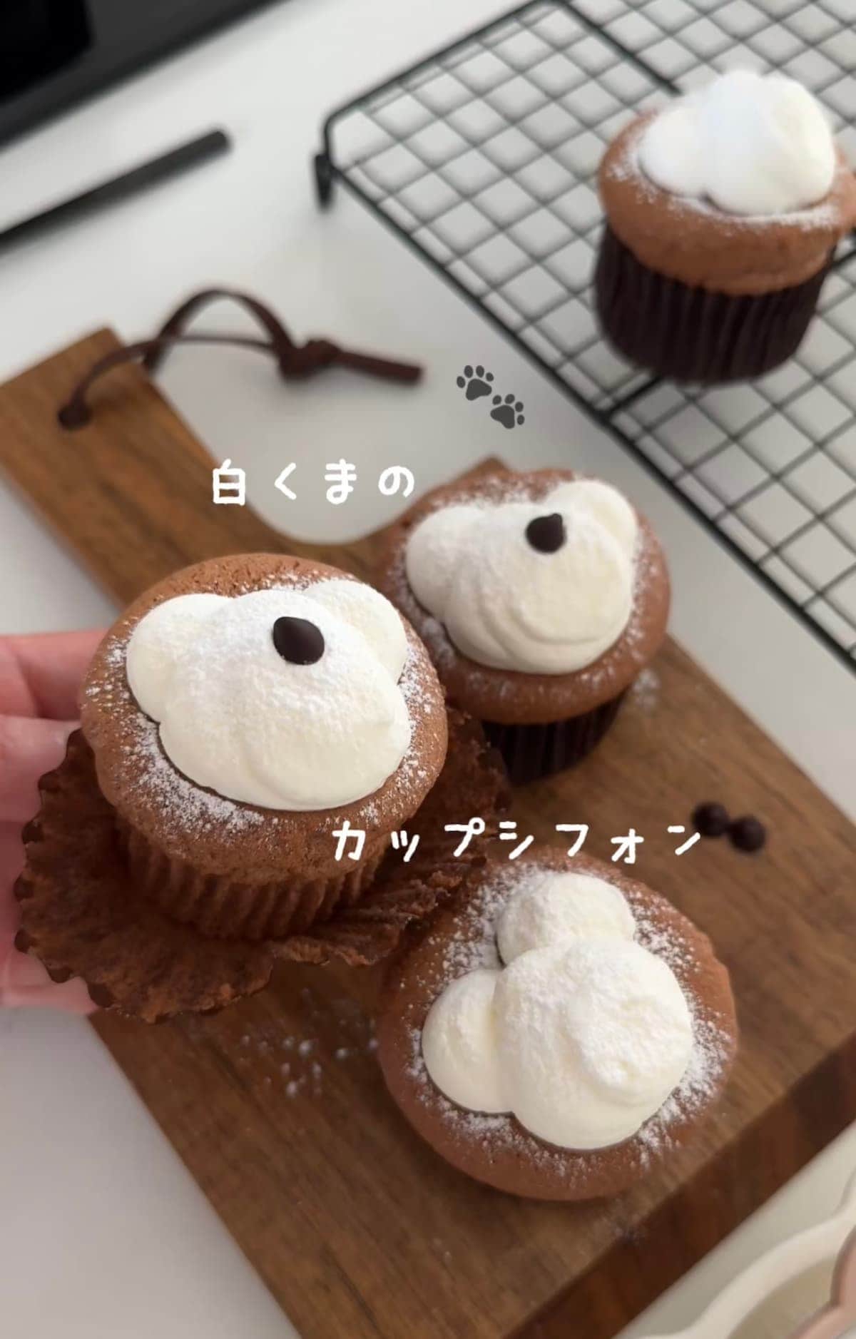 白くまのカップシフォン