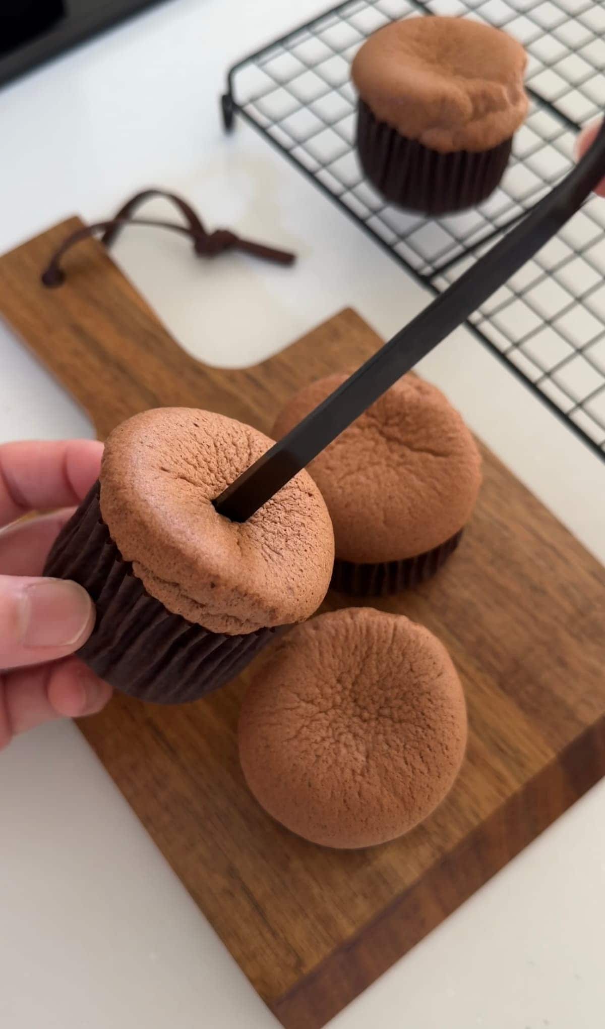 白くまのカップシフォン