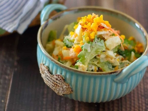 こんな食べ方あったんだ！この夏試したい簡単「ゴーヤ」レシピ