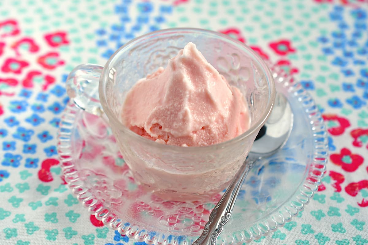 冷凍すいかを使ったジェラート