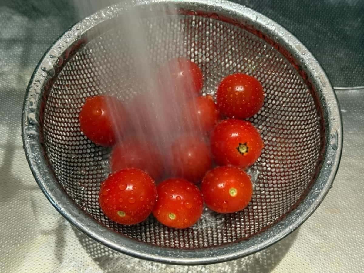 ミニトマトのヘタをとりよく洗う　青髪のテツ
