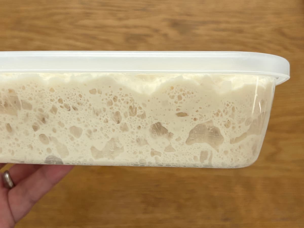 「ツナマヨパン」レシピ