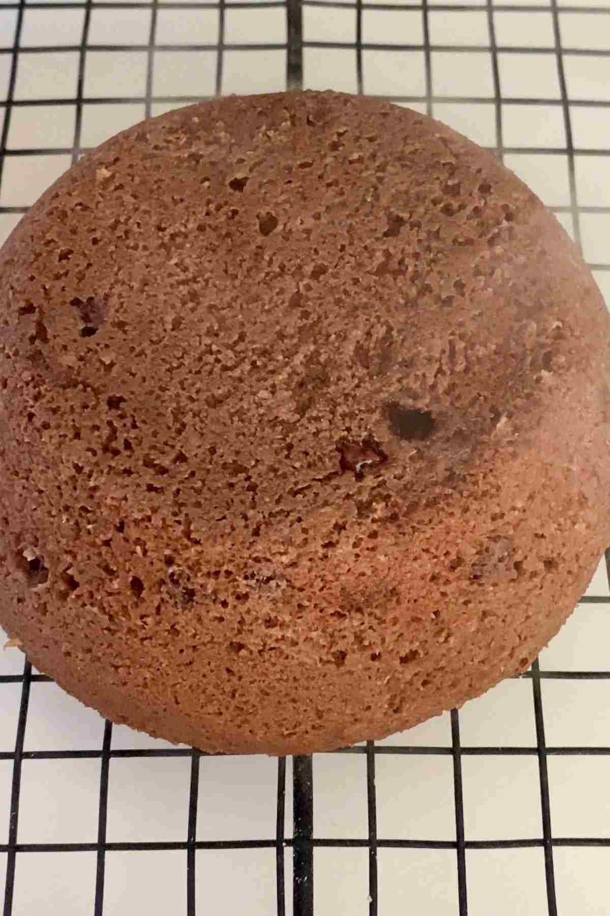 おからのココア蒸しパン