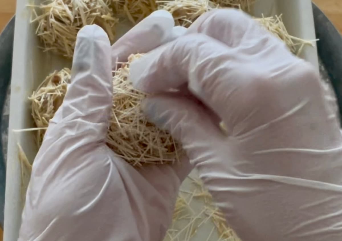 いがぐりコロッケ