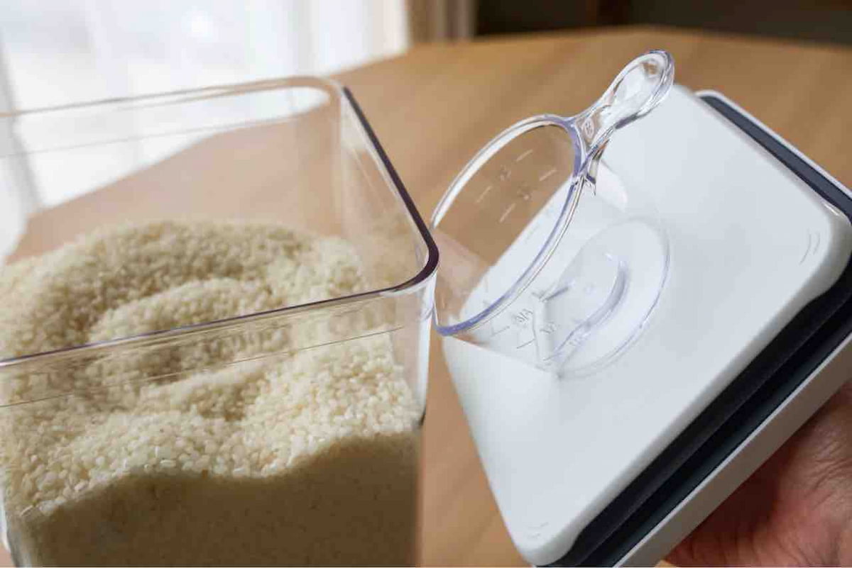 「OXO(オクソー)ポップアップコンテナ ビックスクエアトール」