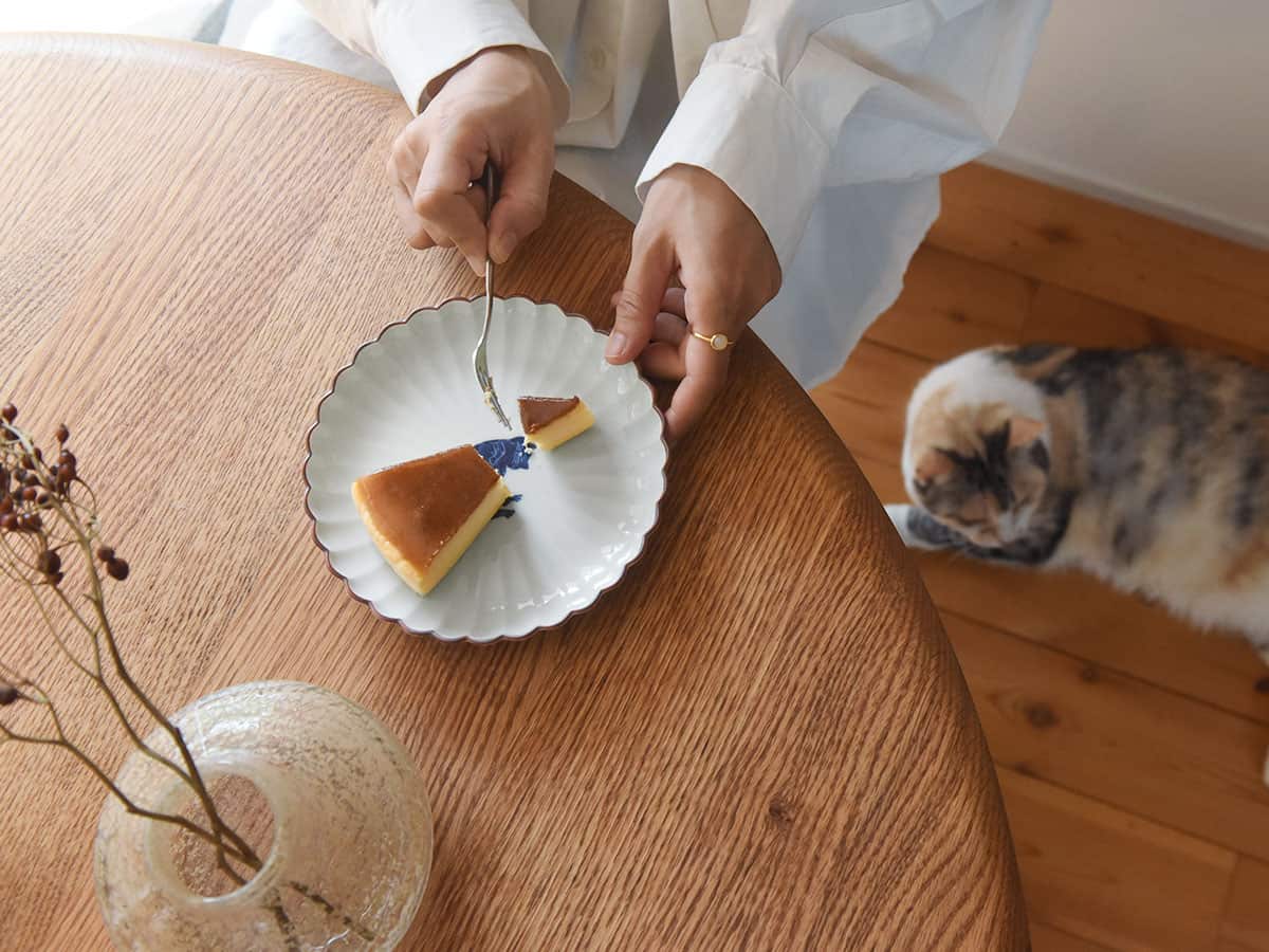 呉須猫 菊割5.5寸皿