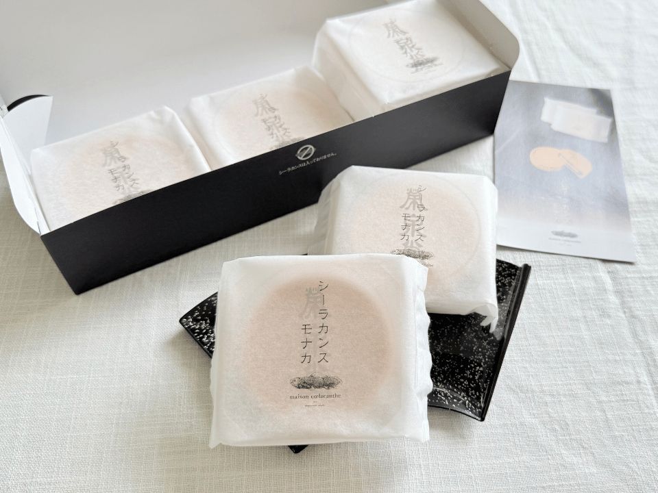 【メゾン シーラカンス】シーラカンスモナカ 6個入