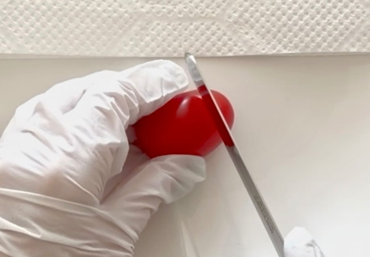 ミニトマサンタ