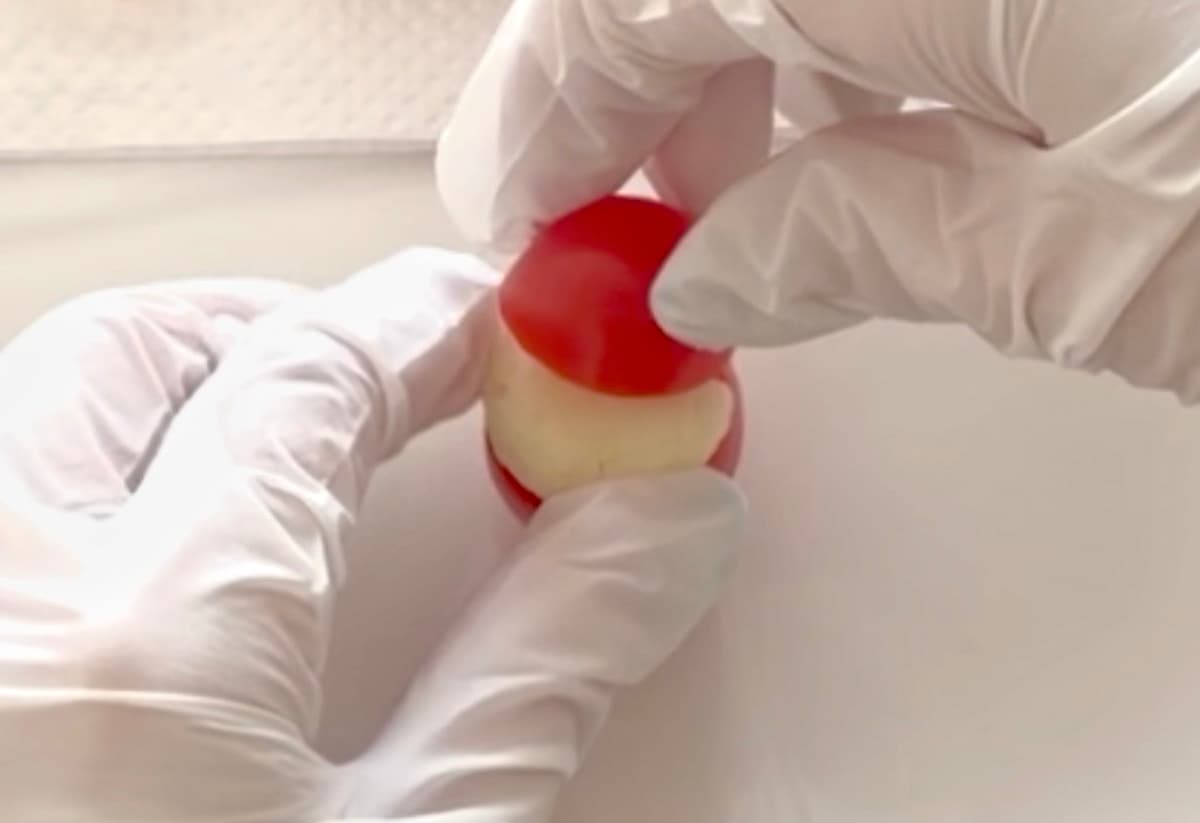 ミニトマサンタ