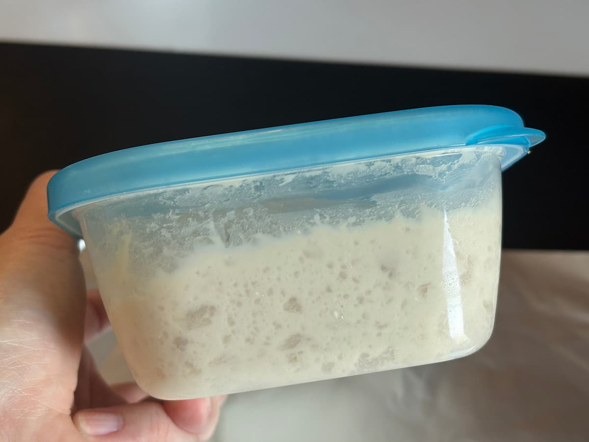 ミルクちぎり発酵後