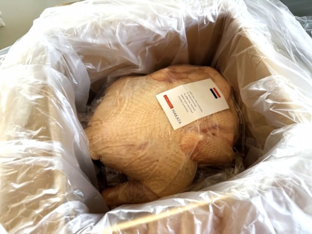 紀の国みかんどりの丸鶏01