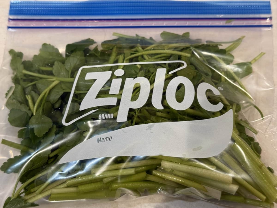 野菜のプロ・青髪のテツが教える！おいしい野菜の選び方・保存方法