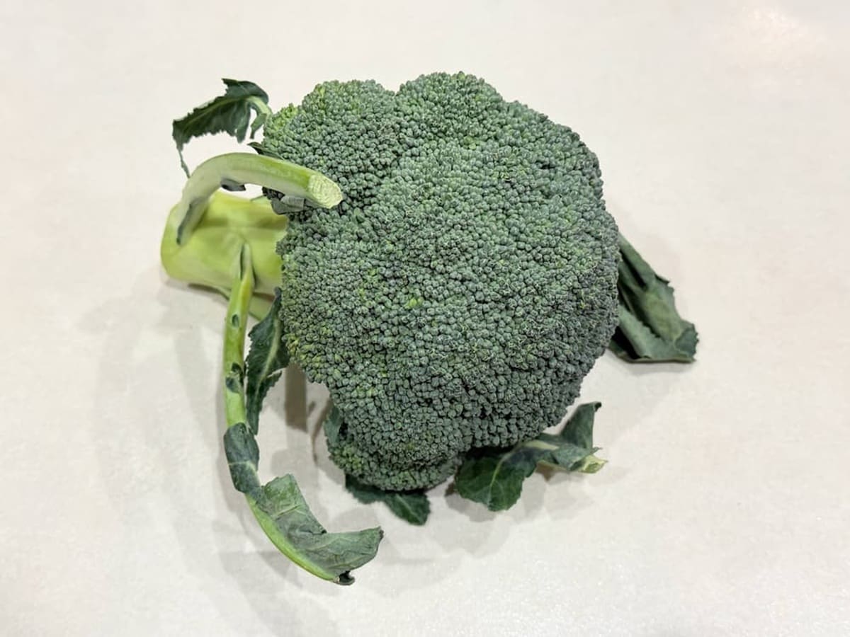 鮮やかで濃い緑色のもの 青髪のテツ