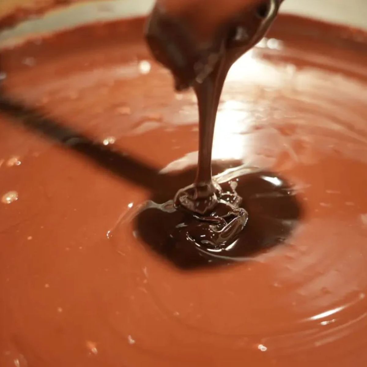 ロータスライフ チョコテリーヌ スイートリュクス