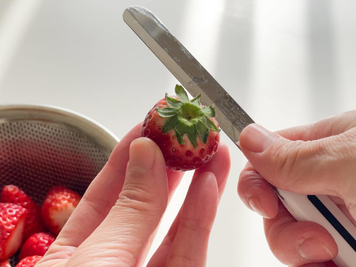 テーブルナイフ／ARCOS アルコス