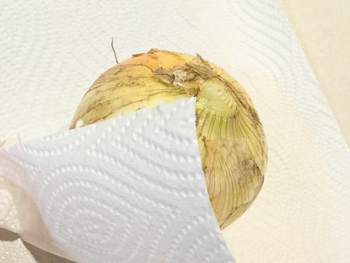 新玉ねぎを1つずつキッチンペーパーで包む