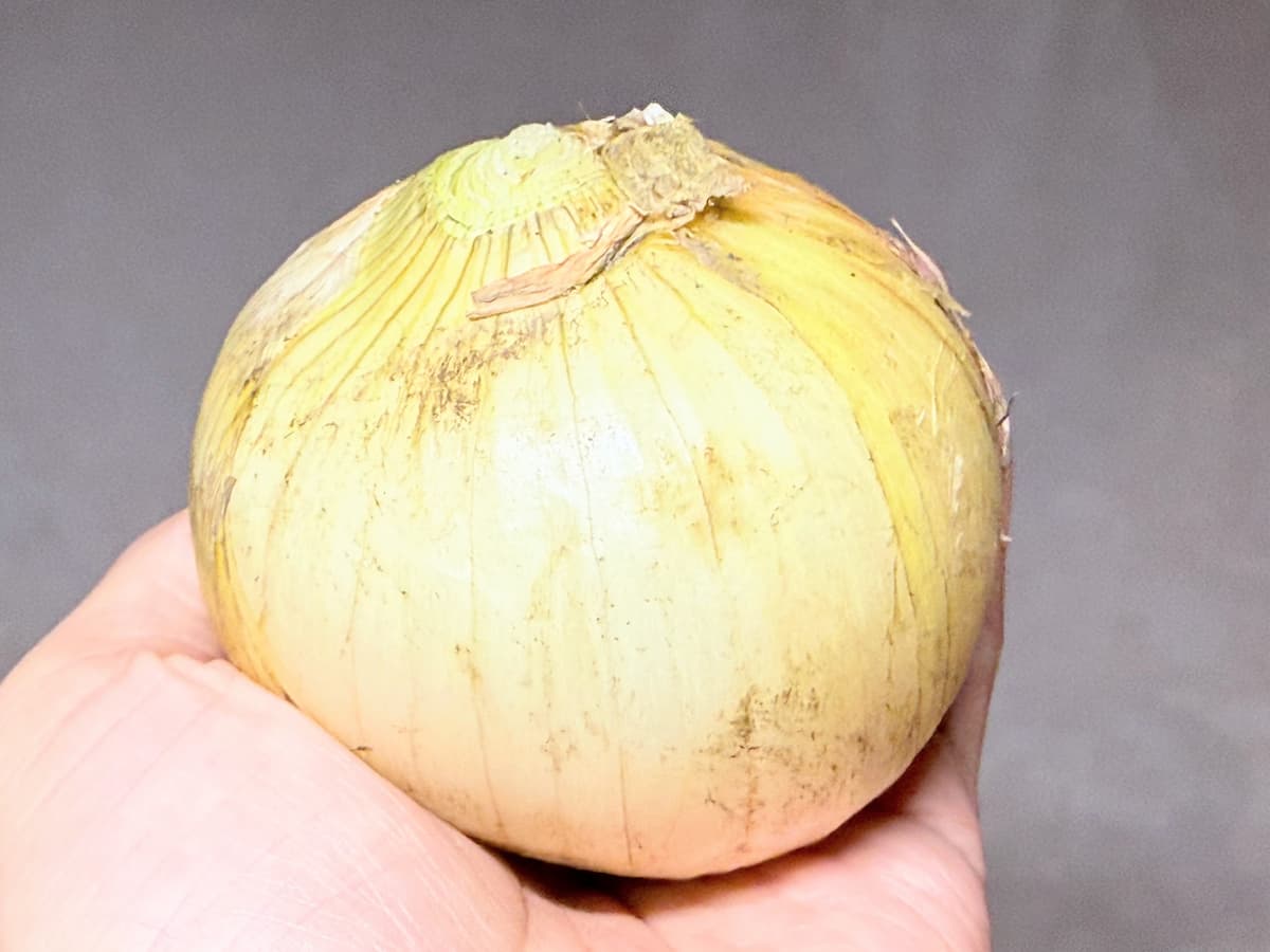おいしい新玉ねぎの選び方