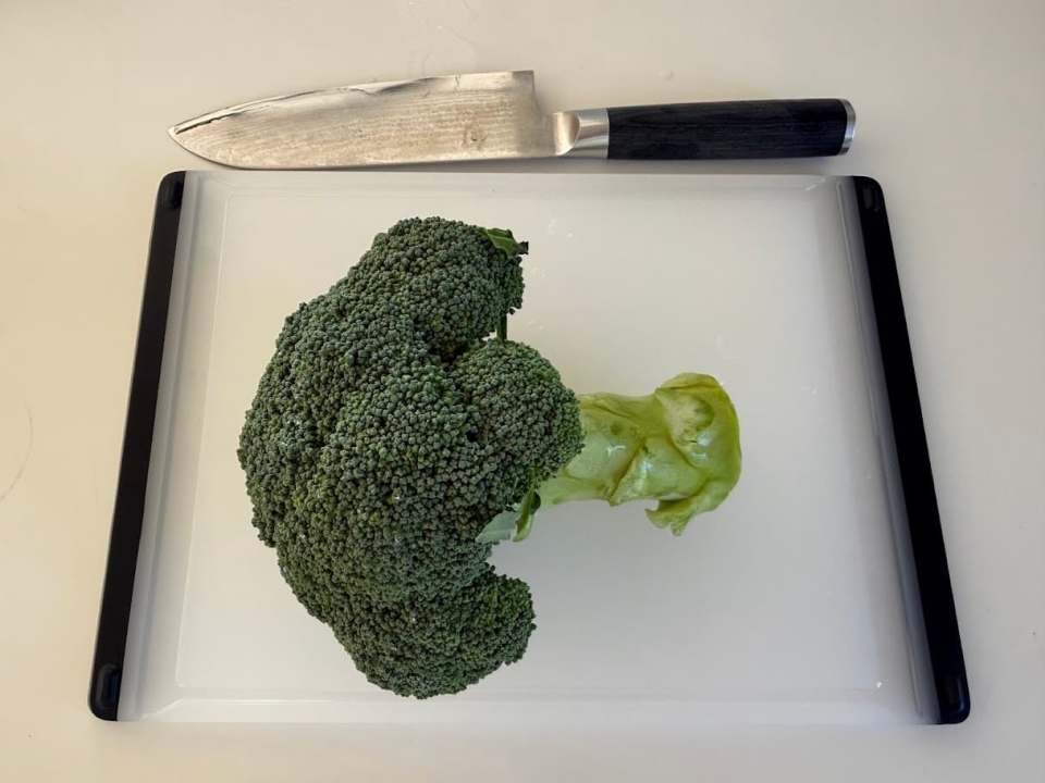 根元1センチほどを切り落とす