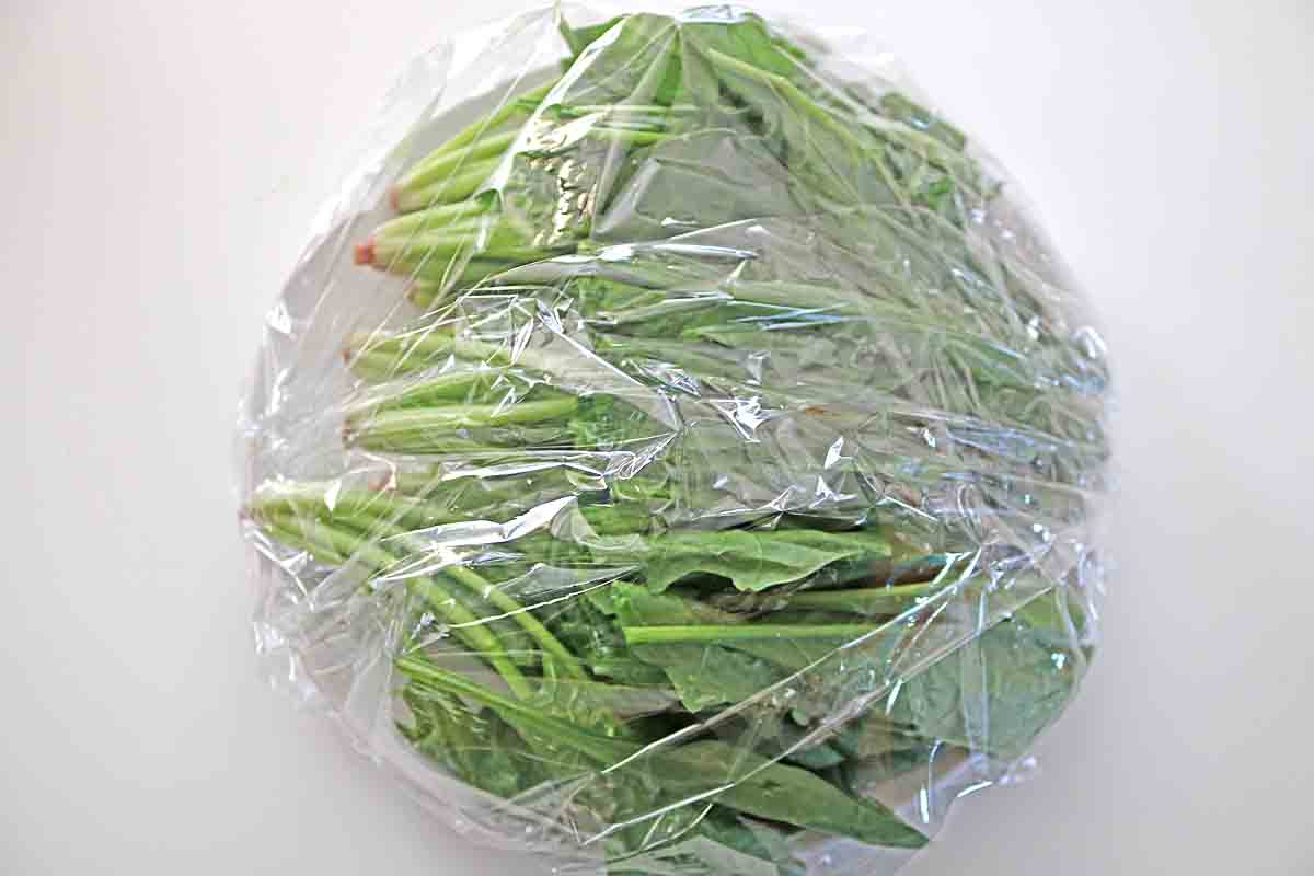 ほうれん草サラダ３