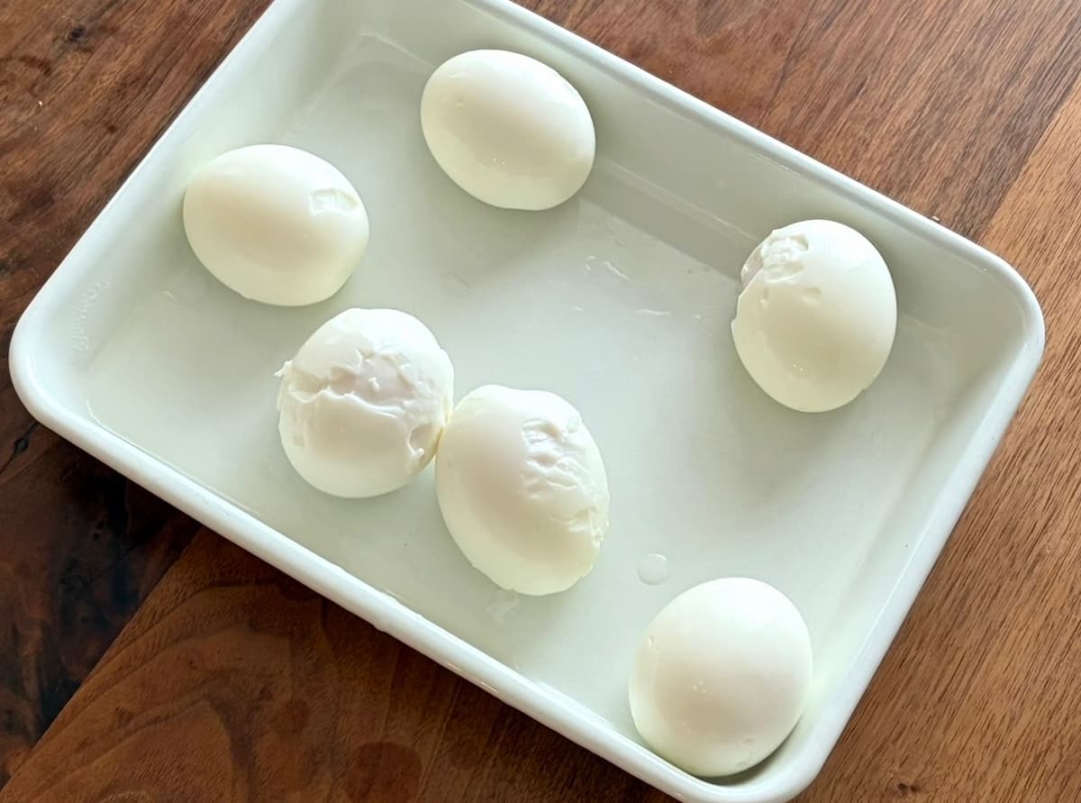 至福のスコッチエッグ