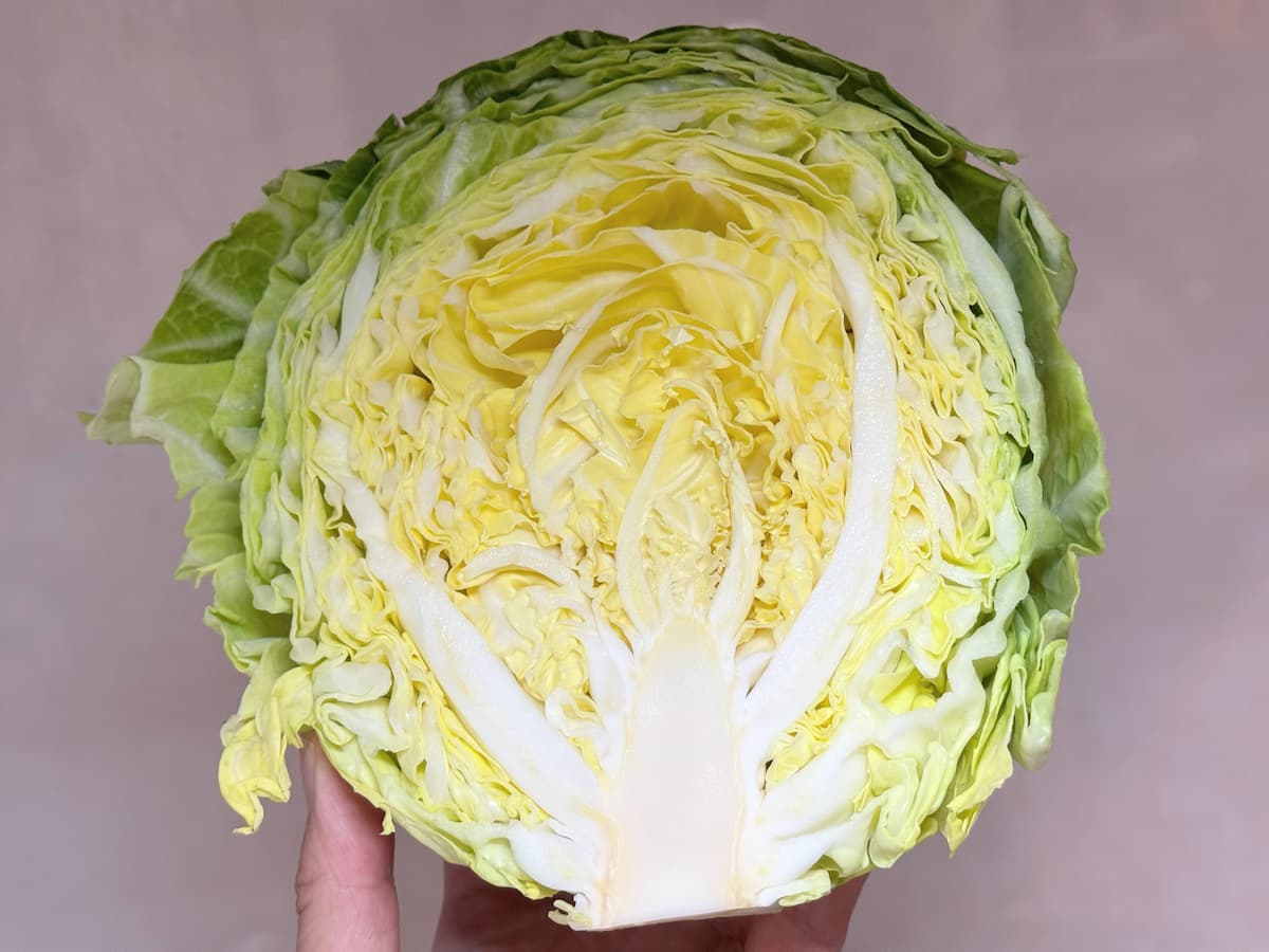 カット春キャベツの選び方