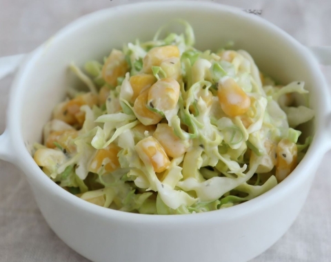 「春キャベツ」があったらこれ！簡単おかず＆サラダ4選