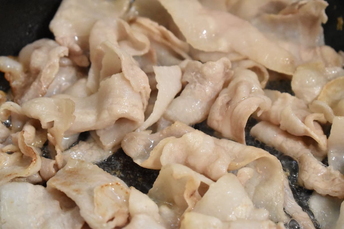 柚子胡椒風味のネギ塩豚丼