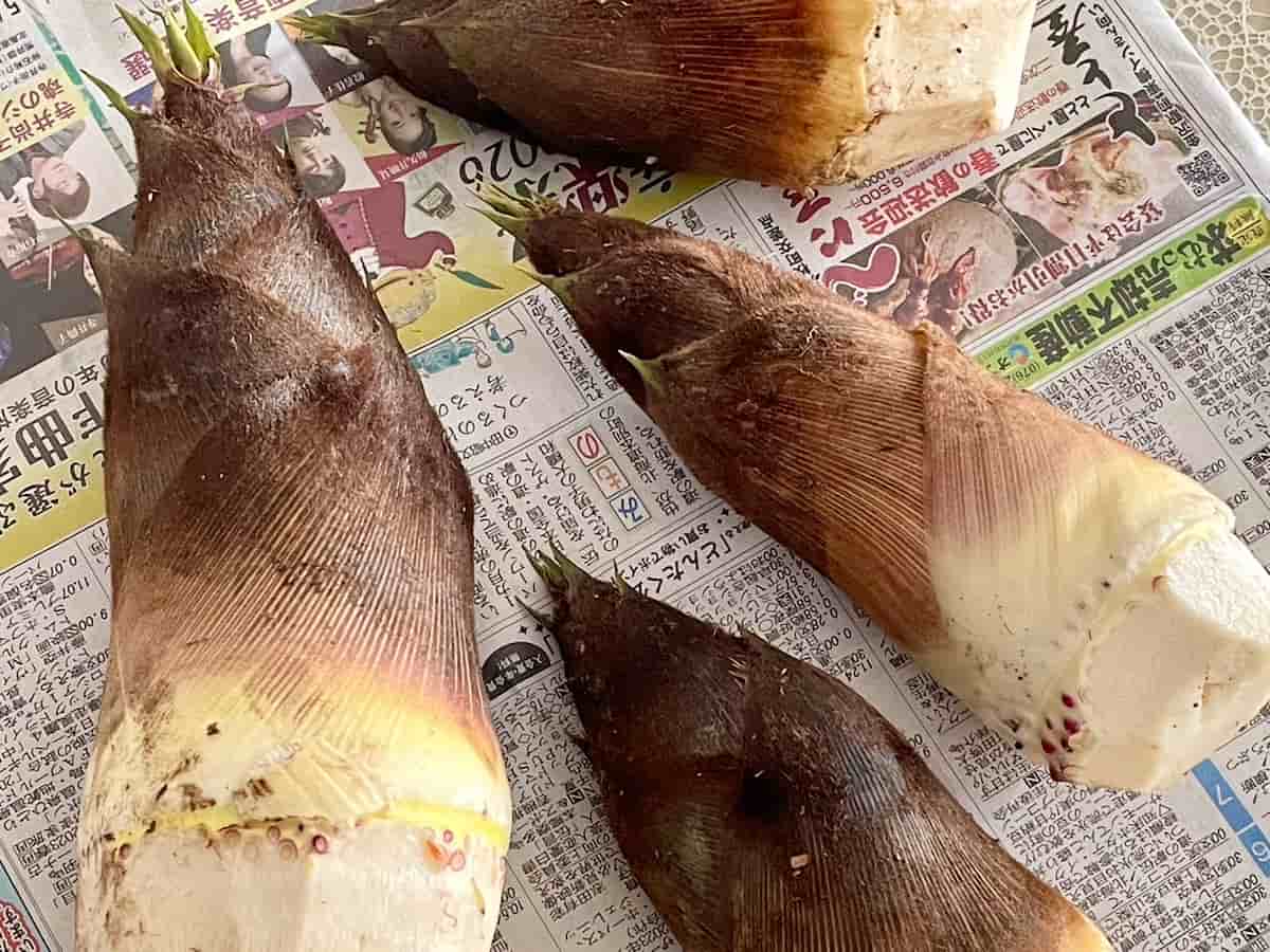 昆布だしのたけのこごはん