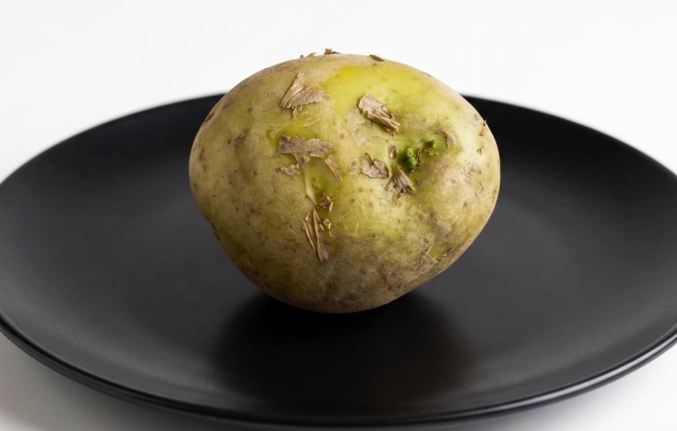 野菜のプロ・青髪のテツが教える！おいしい野菜の選び方・保存方法