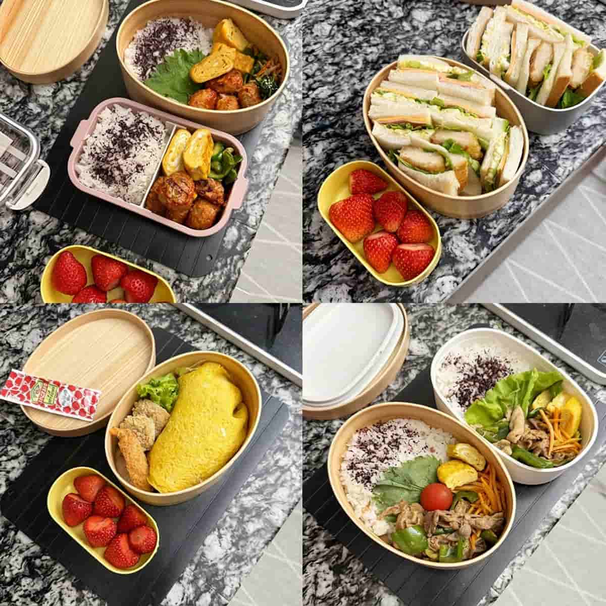 電子レンジ・食洗機が使える ほんとうに使いやすい 曲げわっぱ お弁当箱 ランチボックス 600ml/かのりゅう